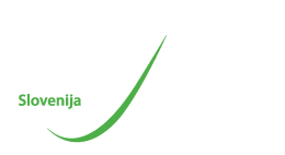 Sinergy Cargo Doo